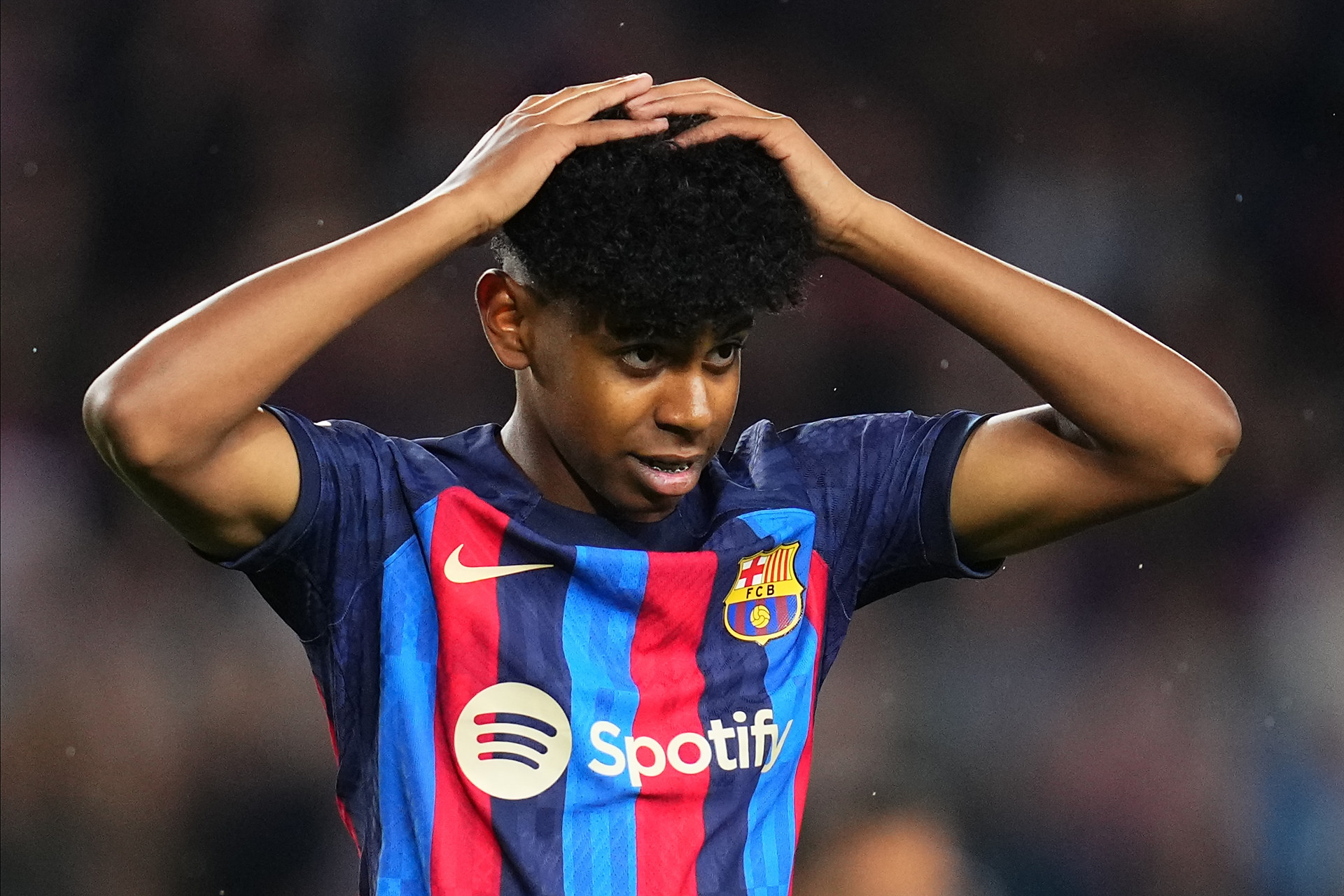 达利奇：会在未来的7个月考察锋线，国家队不会忽视任何人（达利奇：未来七个月评估锋线，国家队不忽略任何球员）